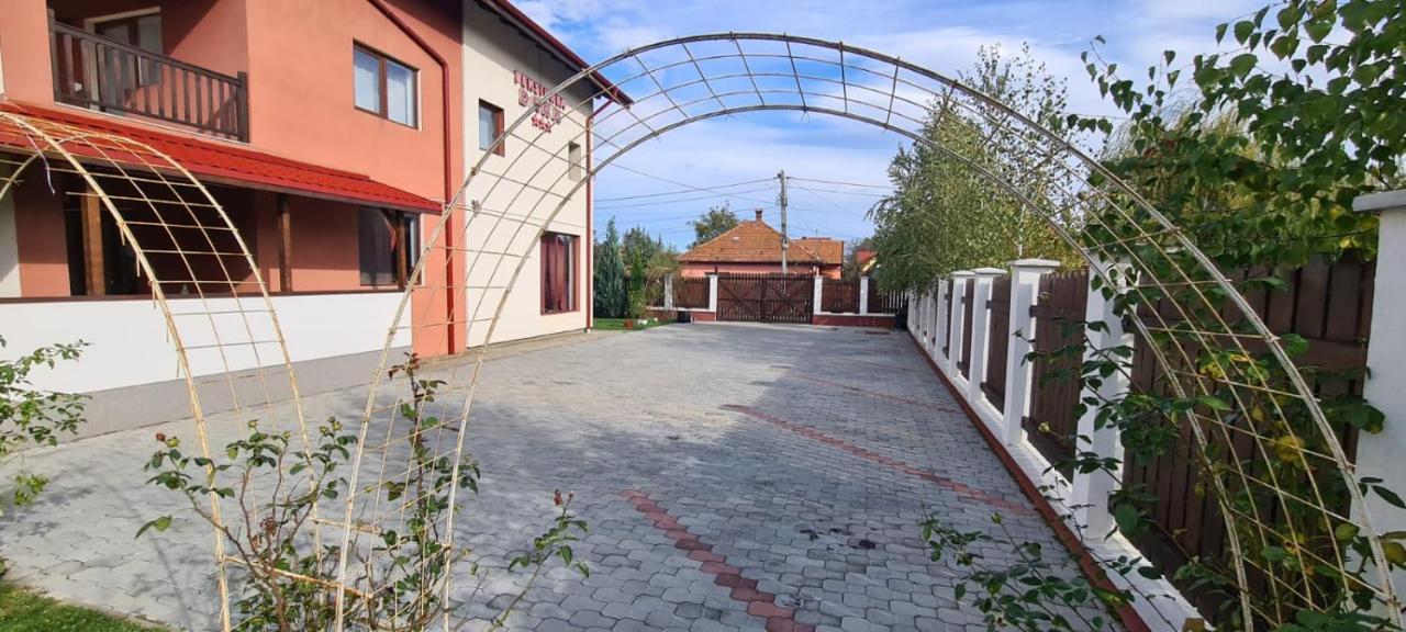 Pensiunea Dara Ришнов Екстер'єр фото